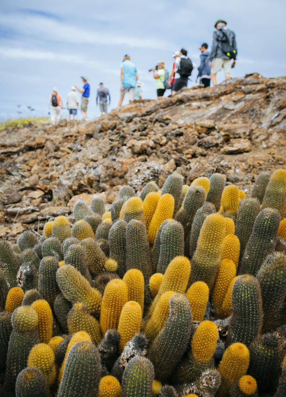 Galapagos Islands