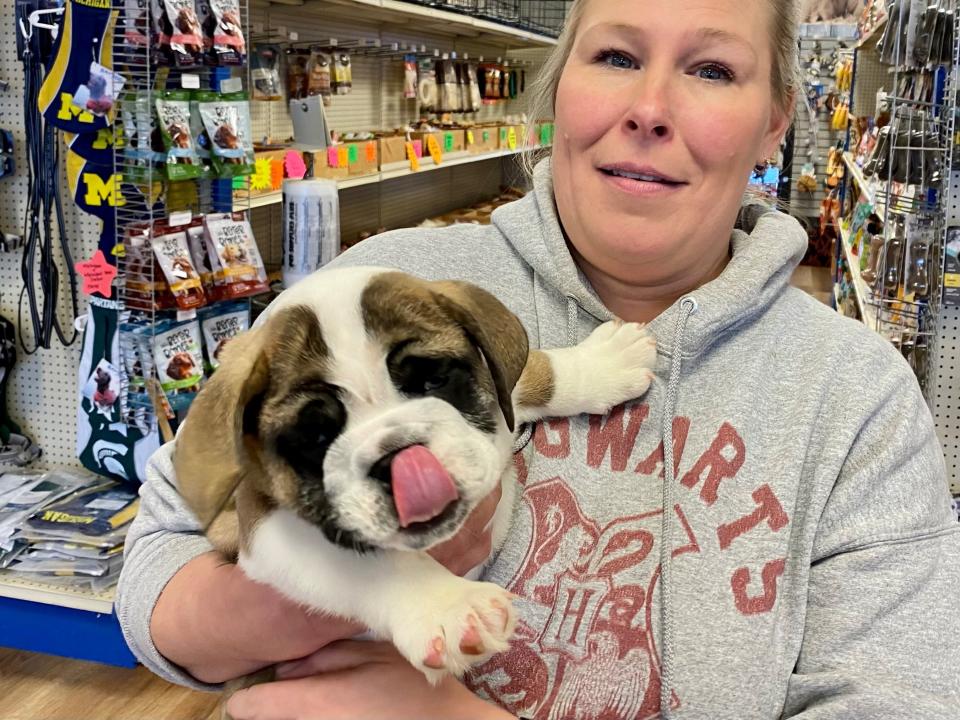 Andrea Bommarito, manager of the Puppygram shop in Berkley, holds Jace, a 10-week-old English bulldog.
