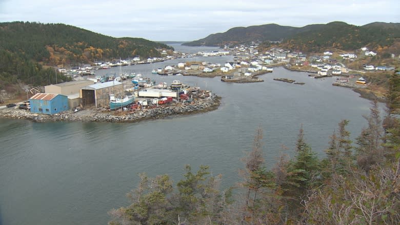 'Just a ghost town, that's all': The Northern Peninsula and its population predicament
