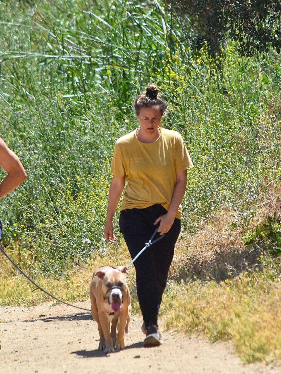 Alicia Silverstone walking her dog. - Credit: BG015/Bauergriffin.com / MEGA