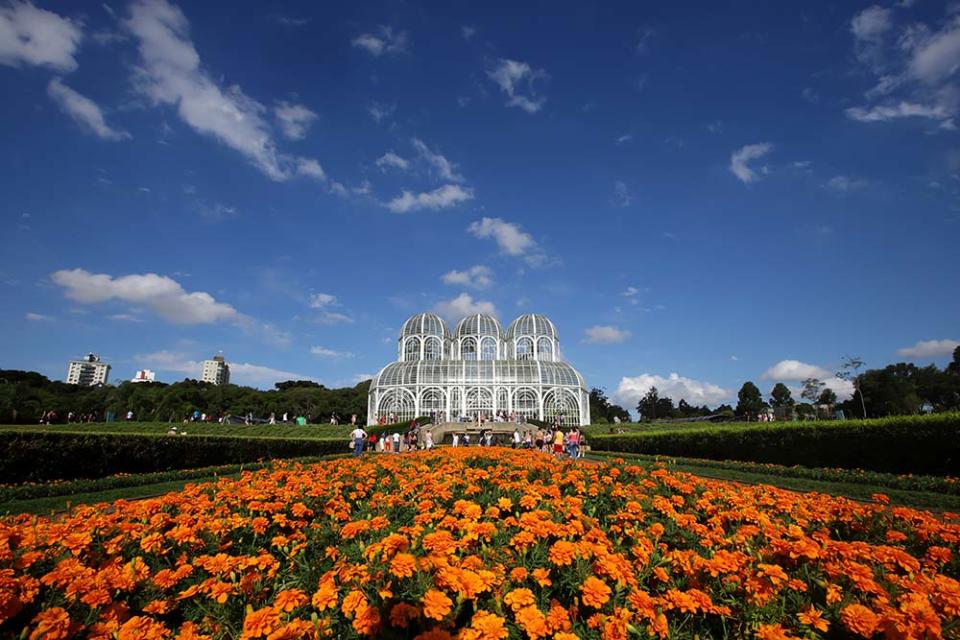 庫里奇巴植物園（Image Source : Getty Creative/iStockphoto）