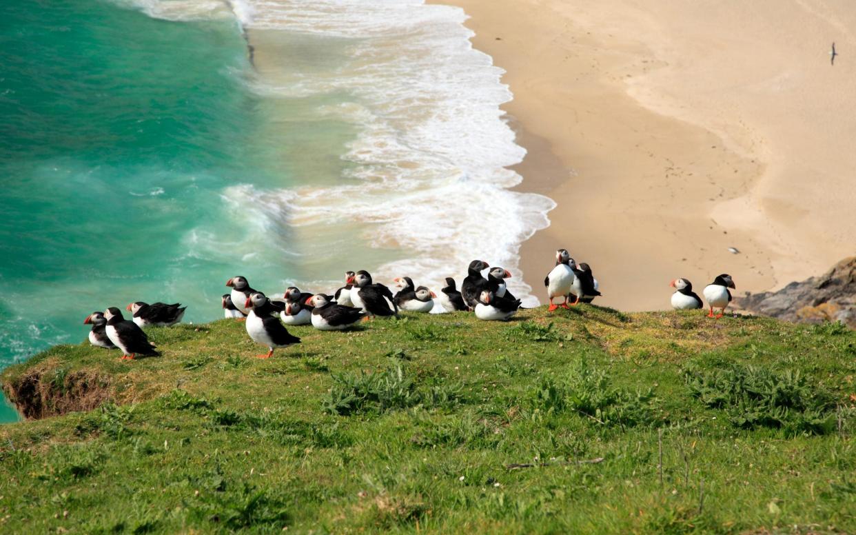 Cruises around Britain's coast and islands, such as the beautiful Isle of Mingulay, could be available this summer