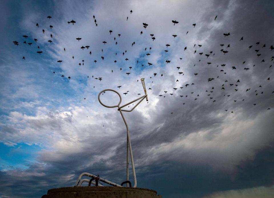 In Trego County, Kansas, birds fly over a metal sculpture in the shape of a person hoisting a rain gauge to the sky as if to ask for rain.