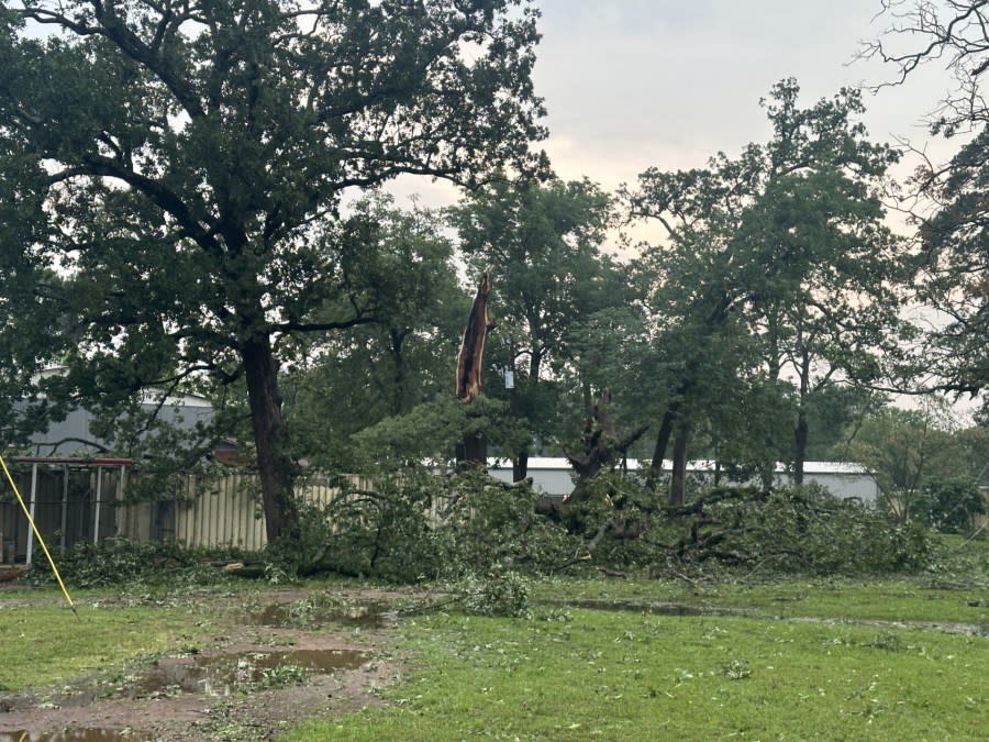 Storm damage in Coffee City