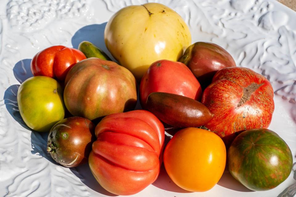 Village Garden tomatoes