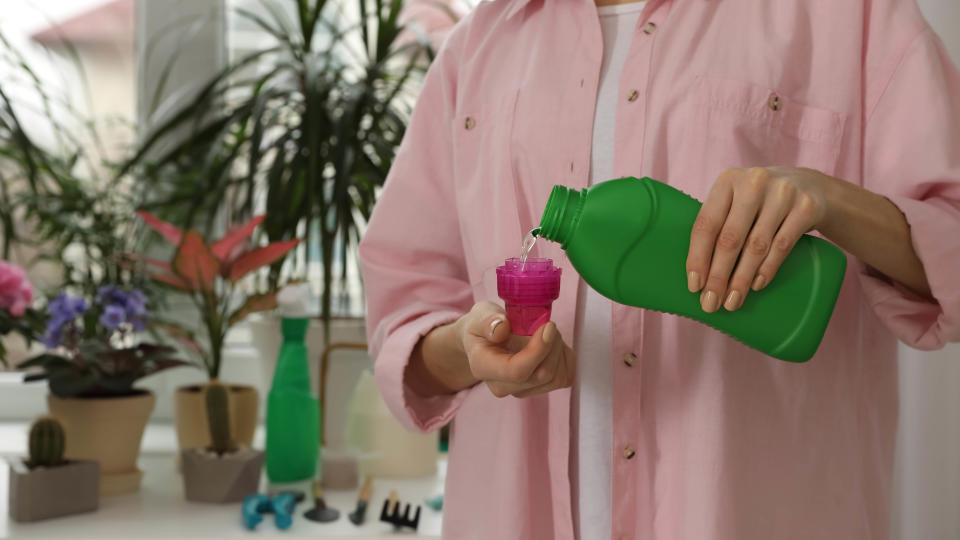 Someone measuring out indoor plant fertilizer with plants in the background