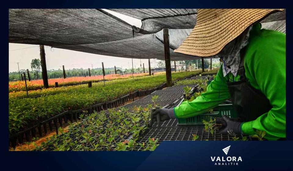 Sector agro de Colombia puede sumarse a la inteligencia artificial Imagen: Valora Analitik
