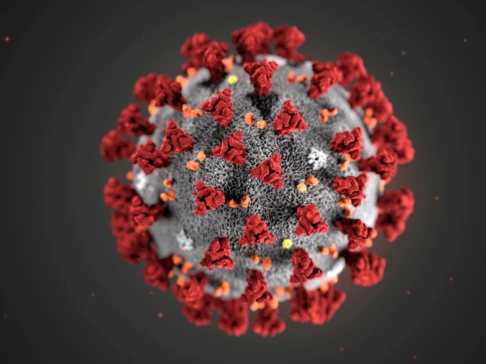 FILE PHOTO: The ultrastructural morphology exhibited by the 2019 Novel Coronavirus (2019-nCoV), which was identified as the cause of an outbreak of respiratory illness first detected in Wuhan, China, is seen in an illustration released by the Centers for Disease Control and Prevention (CDC) in Atlanta, Georgia, U.S. January 29, 2020. Alissa Eckert, MS; Dan Higgins, MAM/CDC/Handout via REUTERS