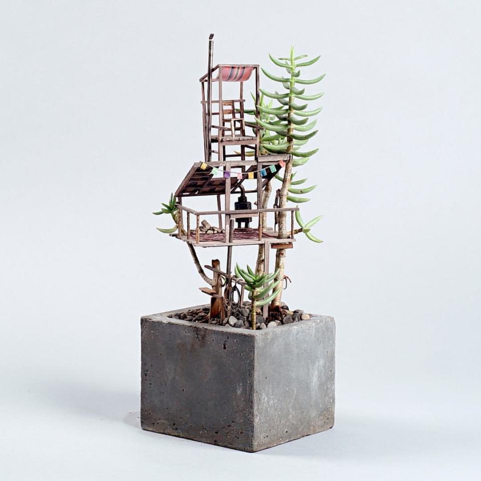 La serie se llama “En algún lugar pequeño” y construye casas pequeñas encastradas en suculentas o bonsáis.