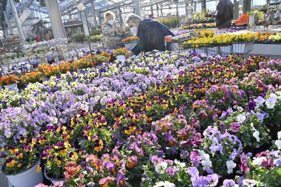 Customers buy flowers at a garden center in Munich, Germany, Monday, March 1, 2021. Some German federal states are allowing businesses such as flower shops and hardware stores another cautious step as the country balances a desire to loosen restrictions with concern about the impact of more contagious coronavirus variants. (Peter Kneffel/dpa via AP)