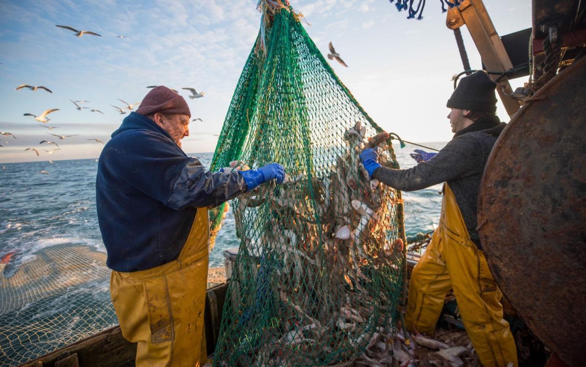 British fishermen can catch 120,000 more tonnes of fish next year