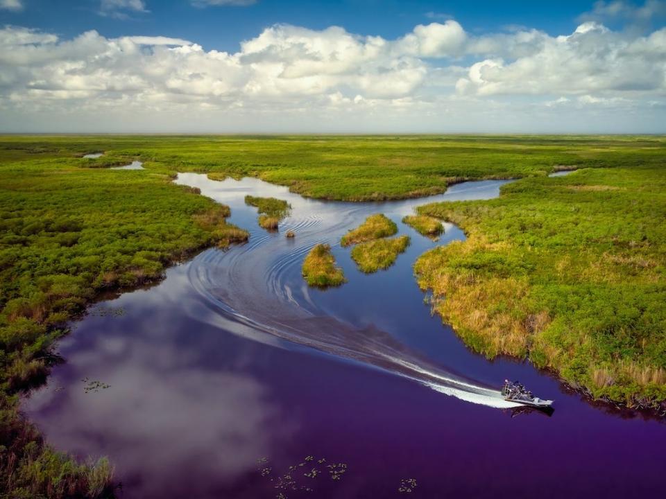 The Florida Everglades.