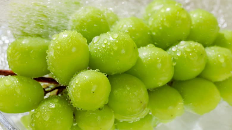 Green grapes in water