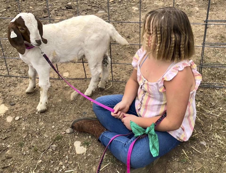 Jessica Long’s daughter holds Cedar’s leash. Cedar, a 7-month-old white Boer goat with chocolate markings framing its face, is now the subject of a federal civil rights lawsuit naming Shasta sheriff’s officials, Long family