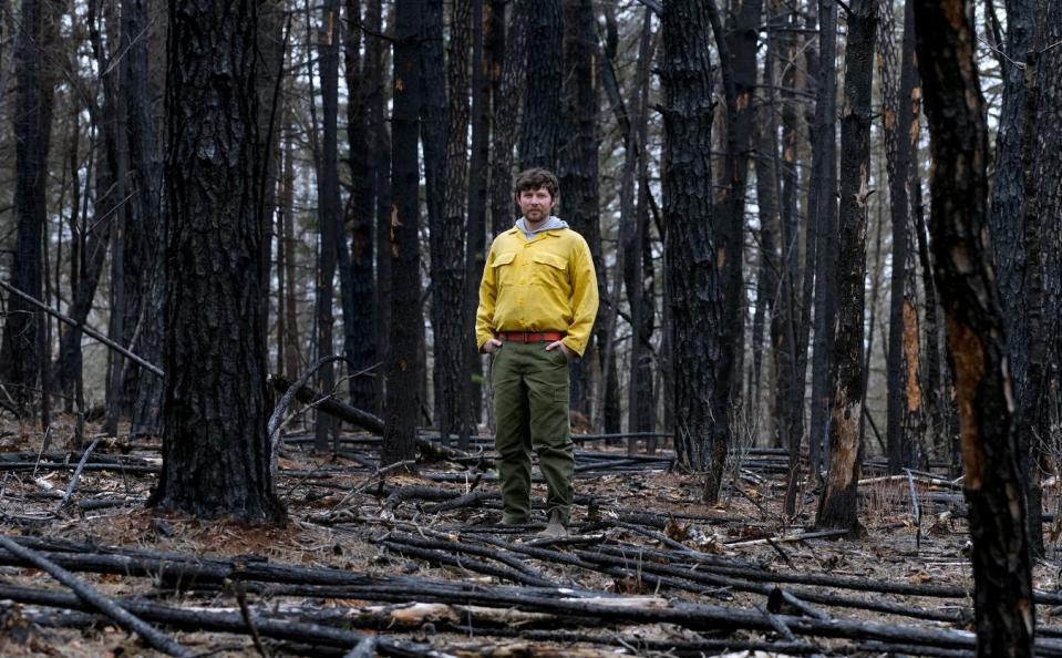 Pat MacMeekin, forest fire program manager with the Department of Environmental Management, stands among the burned-out trees and ground cover at the Queen's River Preserve in Exeter, still showing the scars last week from last April's  238-acre brushfire.