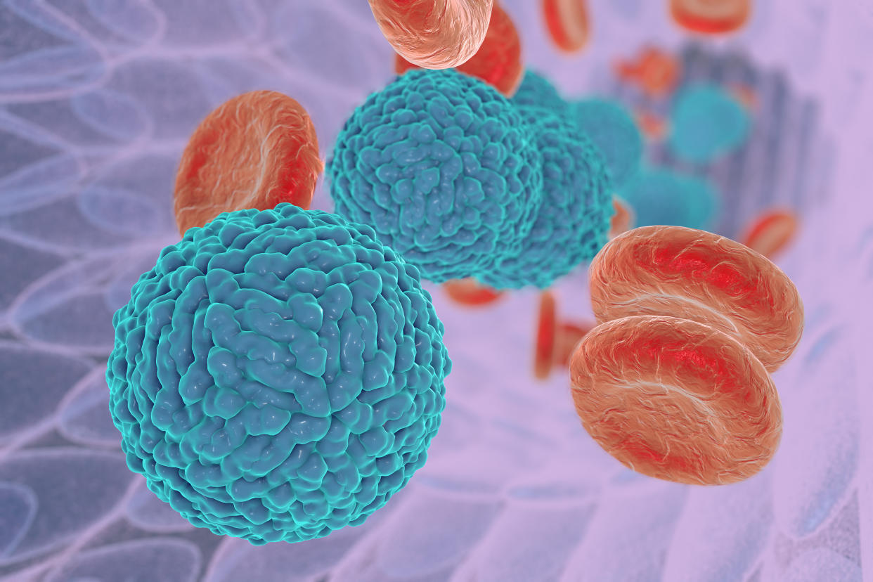 Illustration des Dengue-Virus im Blut. (Bild: Getty)