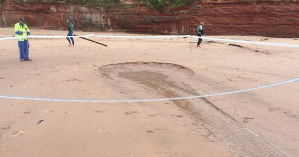 Mystery 15ft hole 'shooting out snails' appears on Devon beach