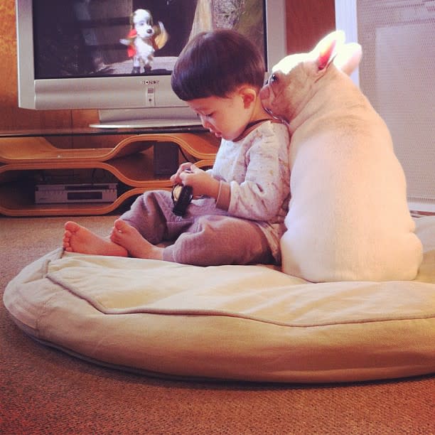 A boy and his bulldog