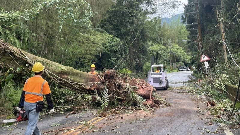 大樹壓倒高壓電線 南投鹿谷鄉停電 南投鹿谷鄉山區有大樹在28日中午倒塌，壓倒路旁台 電高壓電線造成2200多戶停電，台電派出10名工作人 員、升空車3輛及吊車1輛進行搶修，在晚上恢復供 電。 （台電南投區營業處提供） 中央社記者吳哲豪傳真 113年4月28日 