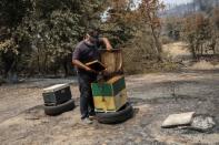 FILE PHOTO: Beekeeper Antonis Vakos, 49, checks a beehive next to other destroyed beehives, following a wildfire near the village of Voutas on the island of Evia