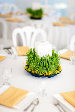 Wheatgrass Centerpiece