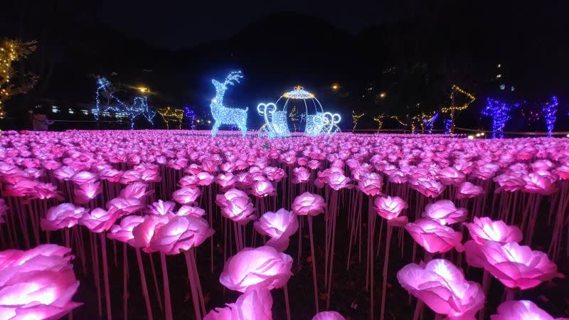 ▲谷關燈區「心花朵朵開」萬朵玫瑰燈海營造幸福浪漫氛圍(圖／參山處提供2021.12.6)