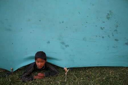 A boy looks out from a makeshift shelter in an open ground after an earthquake in Kathmandu, Nepal April 26, 2015, a day after Saturday's 7.9 magnitude earthquake which killed more than 2,400 people and devastated Kathmandu valley. REUTERS/Navesh Chitrakar