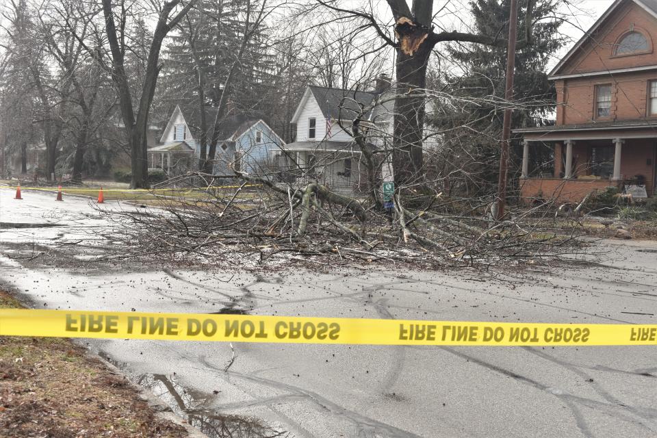 Caution tape blocks off a section of South Lane Street in Blissfield Thursday, Feb. 23, 2023, after a large amount of this tree fell into the roadway because of the freezing rain and ice storm that came through Lenawee County on Wednesday. The portion of South Lane Street blocked off is nearly from the Blissfield Post Office to the Schultz-Holmes Memorial Library.