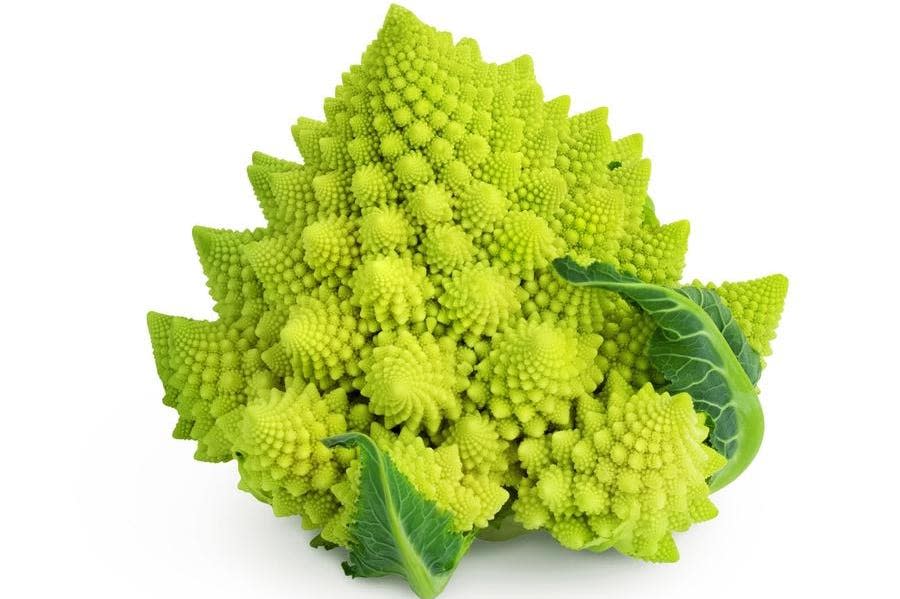 Fractals in romanesco broccoli