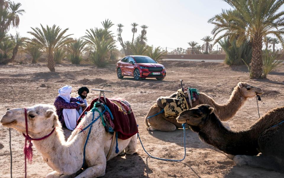 Skoda with camels