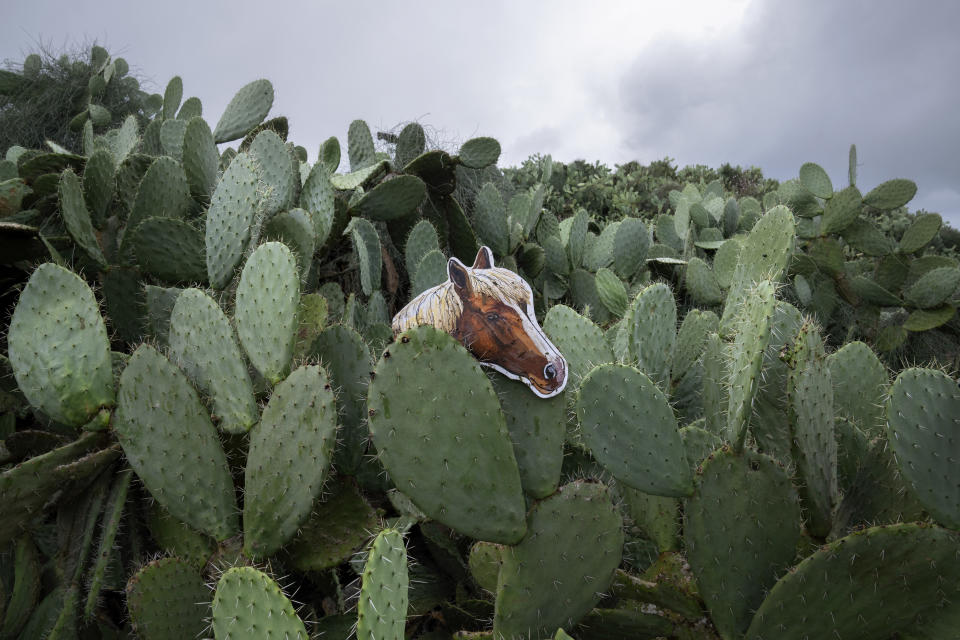 Un fotografía de contorno recortado de un caballo se asoma entre un grupo de nopales en un parque de Tel Aviv el 5 de febrero de 2022. (AP Foto/Oded Balilty)