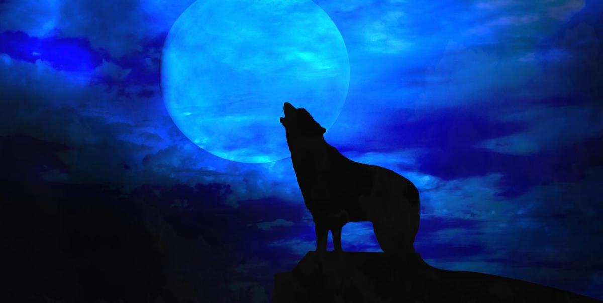 Full Moon Features: Night Wolf (2010) – Werewolf News