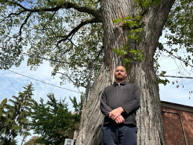 Adam Wynne of the Parkdale Village/Sunnyside Historical Society stands by the American elm, which he says dates to the 1870s. (Mike Smee/CBC - image credit)