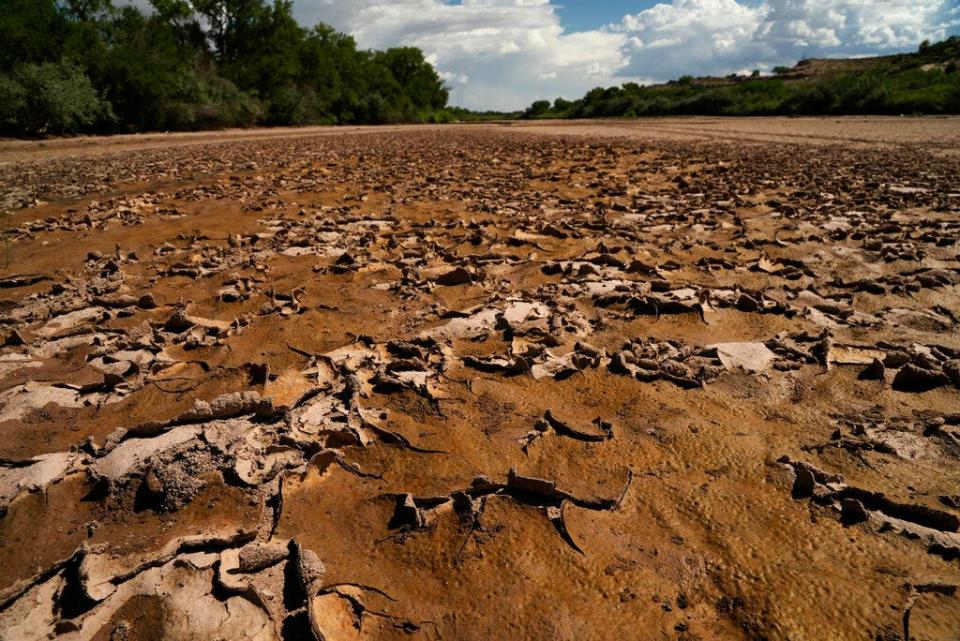 Cracks are visible in the dry Rio Grande riverbed Tuesday, July 26, 2022, in Albuquerque, N.M. Years of drought, scorching temperatures and an unpredictable monsoon season are zapping what's left of its habitat, leaving officials with little recourse but to hope for rain.