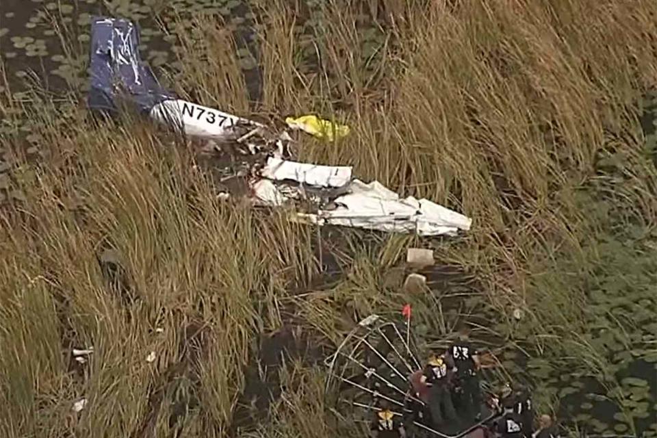 <p>NBC 6 South Florida/ YouTube</p> The site of a plane crash in the Florida Everglades on Jan. 24, 2024