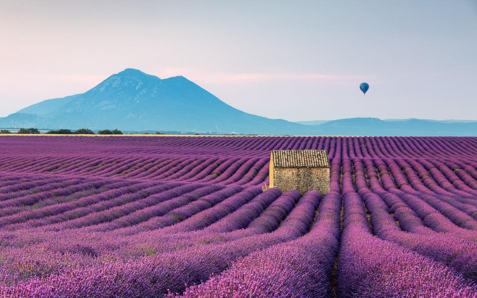 provence, france - Getty