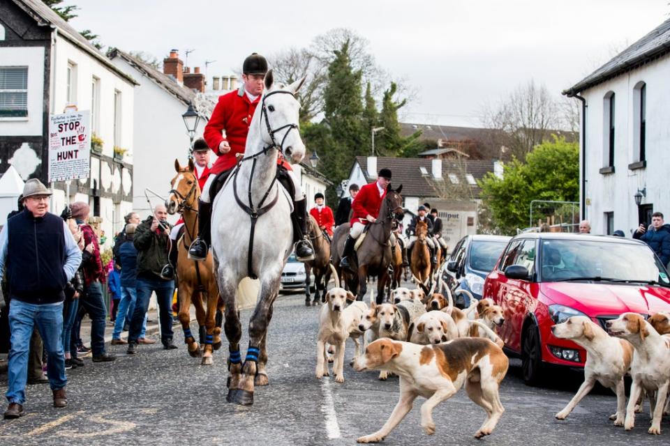 The Huntsman Master leads the hounds and riders through Main Street Crawfordsburn (PA) (PA Archive)