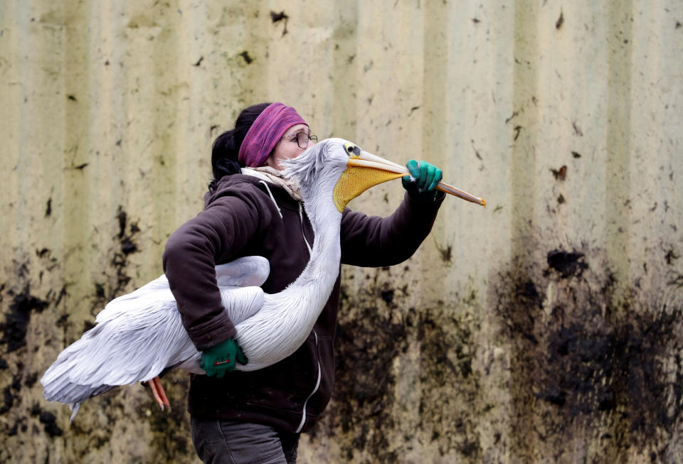 (Photo: David W Cerny / Reuters)