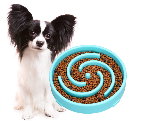 Food bowls: How can I make it easier for my dog to eat?