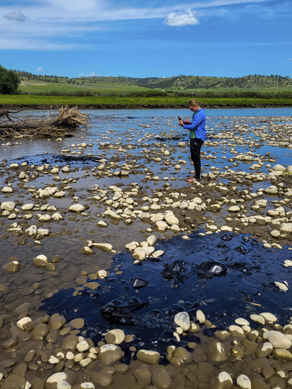 In this photo provided by Yellowstone River Research Center, Rocky Mountain College Environmental Science summer research student Josephine Eccher examines a mat of petroleum products more than 10 feet long and several inches thick along the Yellowstone River, June 30, 2023, near Columbus, Mont. The petroleum products spilled into the river when a railroad bridge over the river collapsed on June 24 and part of a freight train plunged into the water. (Kayhan Ostovar/Yellowstone River Research Center at Rocky Mountain College via AP)
