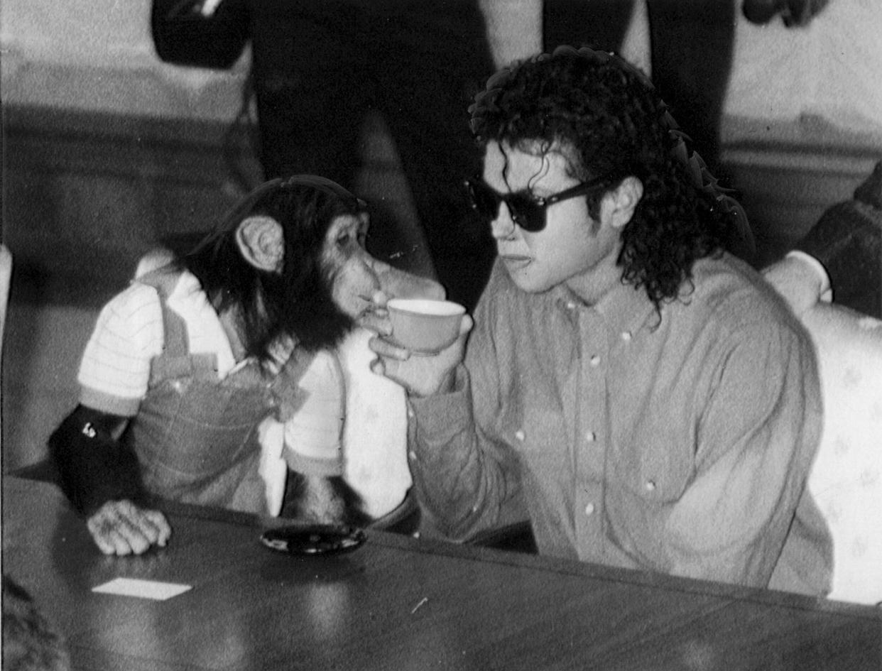 OSAKA, JAPAN - SEPTEMBER 18:  Singer Michael Jackson enjoys a cup of tea with his pet Bubbles at Osaka City Mayoral Hall on September 18, 1987 in Osaka, Japan.  (Photo by Sankei Archive via Getty Images)