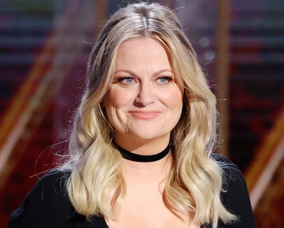 Amy Poehler