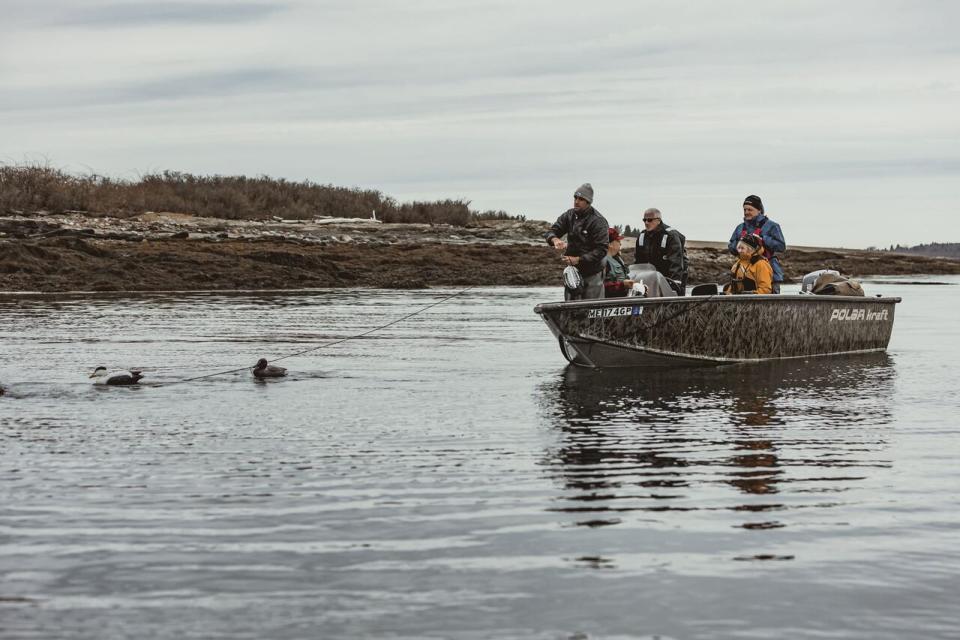 Researchers from the Biodiversity Research Institute in Maine are part of a collaborative effort between Canada and the United States to find out why eider duck populations are declining in some areas. They've tagged ducks in Quebec and Maine, as well as New Brunswick and Nova Scotia.