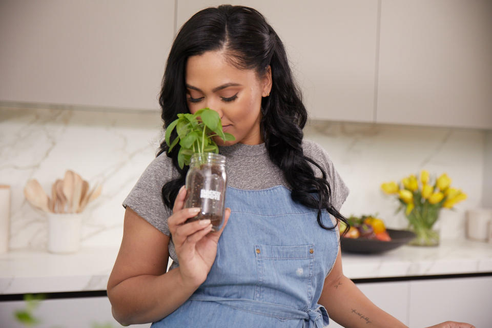 One thing is clear from this promo photo: Ayesha Curry, wife of NBA star Steph Curry, is really good at sniffing things. Look at the passion she brings to <a href="https://backtotheroots.com/collections/herb-and-veggie-planters/products/kitchen-herb-garden-by-ayesha-curry-jar-2-pack-organic-basil-mint" target="_blank" rel="noopener noreferrer">whiffing the basil she presumedly grew using her branded kitchen planner</a>. That's the mark of a pro.