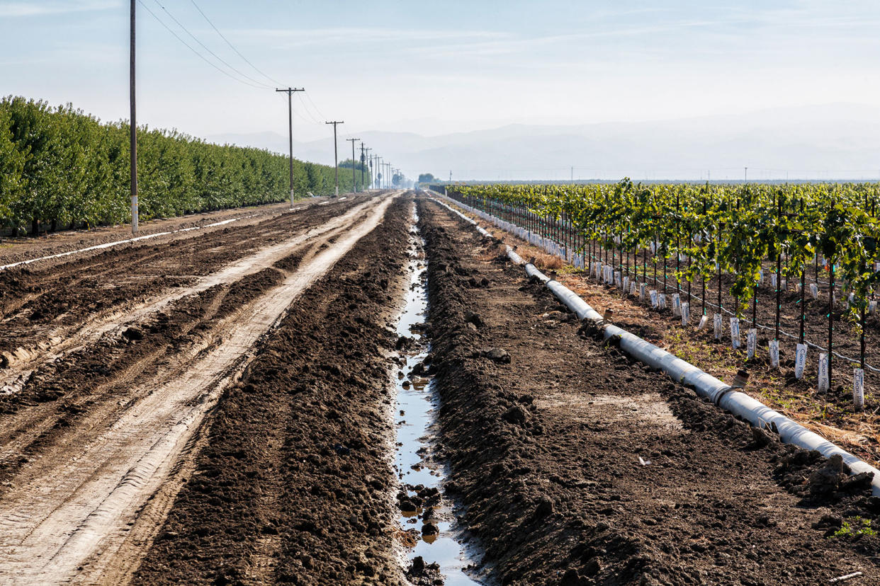 California irrigation ditch orchard Citizens of the Planet/Education Images/Universal Images Group via Getty Images