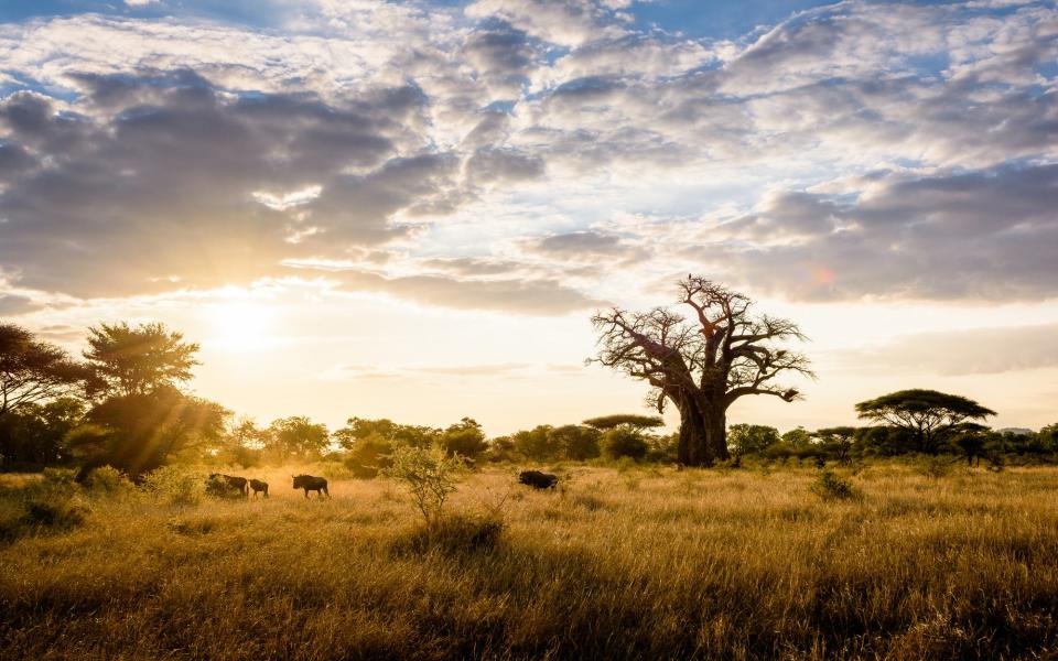 Pamushana,  Zimbabwe