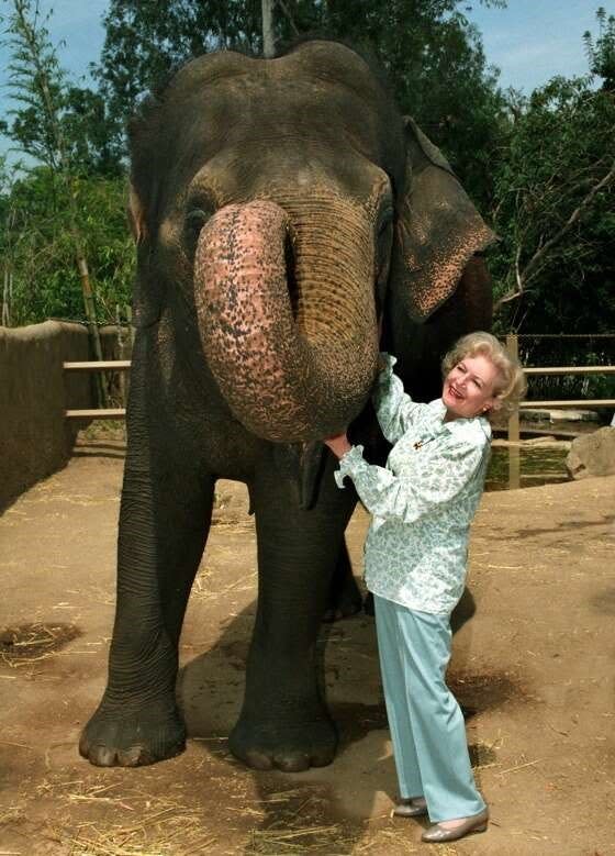 Betty White was famous for caring for all animals.