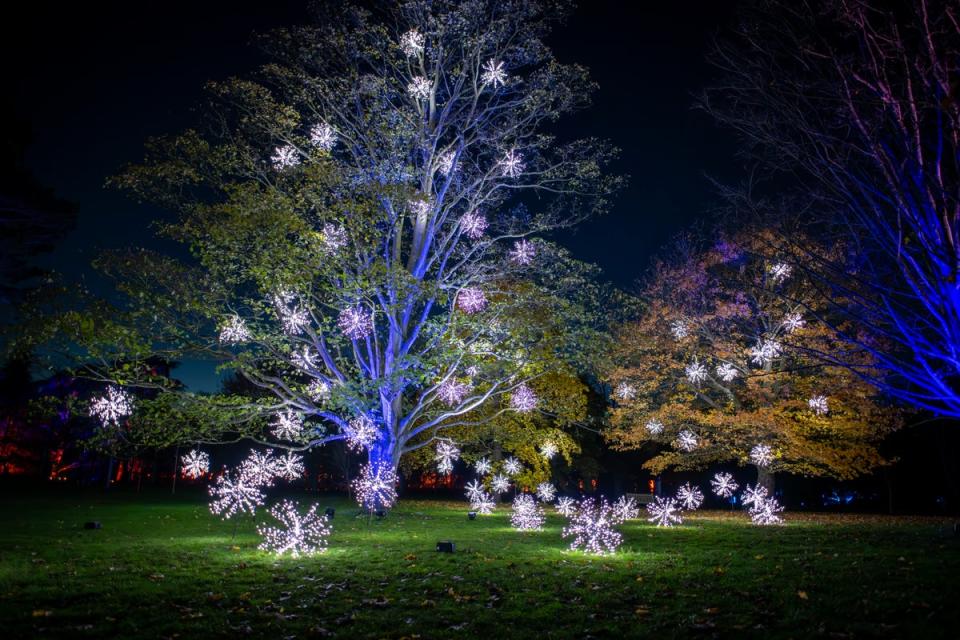 Experience ‘nature by night’ at Kew Gardens (Royal Botanic Gardens, Kew)