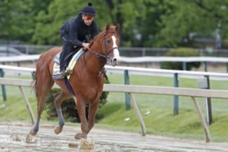 May 17, 2018; Baltimore, MD, USA; Kentucky Derby winner Justify, ridden by exercise rider Humberto Gomez, participates in a morning workout in preparation for the 143rd Preakness Stakes at Pimlico Race Course. Mandatory Credit: Geoff Burke-USA TODAY Sports