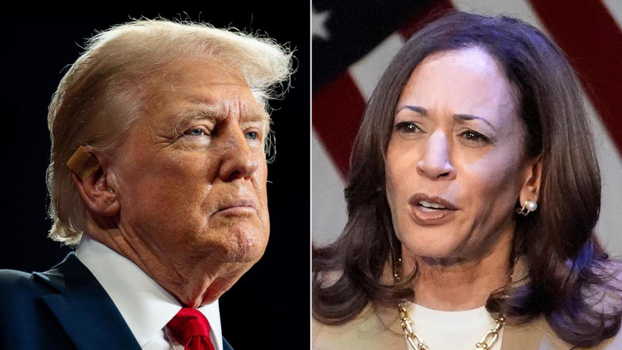 PHOTO: Former President Donald Trump and Vice President Kamala Harris. (Getty Images)